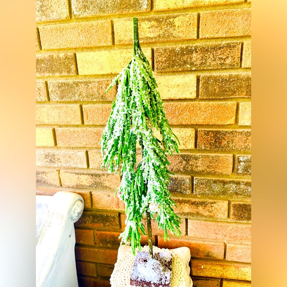 *Snowy Douglas Mini Fir Tree 20”